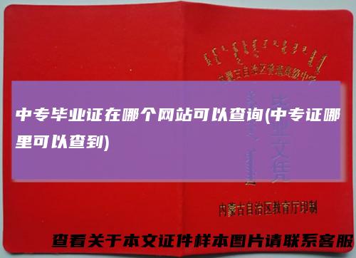 中专毕业证在哪个网站可以查询(中专证哪里可以查到)