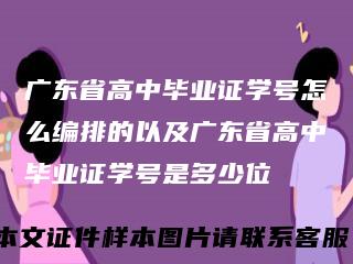 广东省高中毕业证学号怎么编排的以及广东省高中毕业证学号是多少位