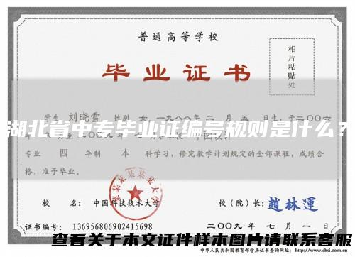 湖北省中专毕业证编号规则是什么？