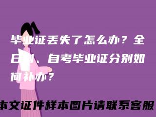 毕业证丢失了怎么办？全日制、自考毕业证分别如何补办？