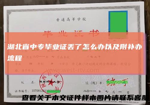 湖北省中专毕业证丢了怎么办以及附补办流程