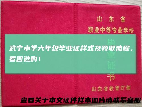 武宁小学六年级毕业证样式及领取流程，看图选购！