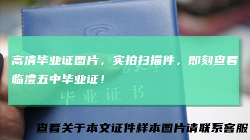 高清毕业证图片，实拍扫描件，即刻查看临澧五中毕业证！