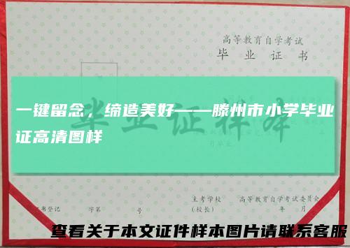 一键留念，缔造美好——滕州市小学毕业证高清图样