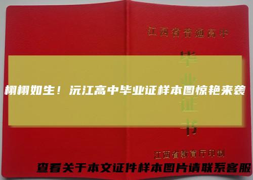 栩栩如生！沅江高中毕业证样本图惊艳来袭