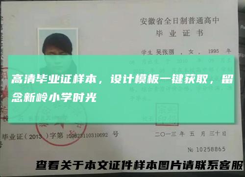 高清毕业证样本，设计模板一键获取，留念新岭小学时光