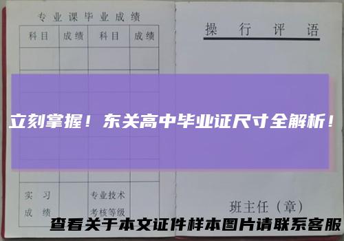 立刻掌握！东关高中毕业证尺寸全解析！