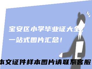 宝安区小学毕业证大全，一站式图片汇总！