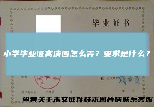 小学毕业证高清图怎么弄？要求是什么？