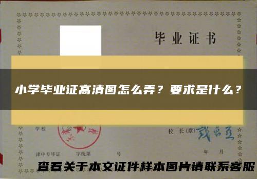 小学毕业证高清图怎么弄？要求是什么？