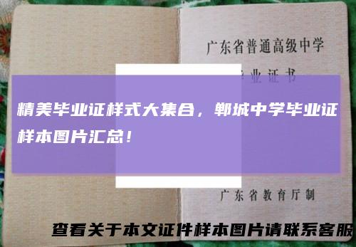 精美毕业证样式大集合，郸城中学毕业证样本图片汇总！