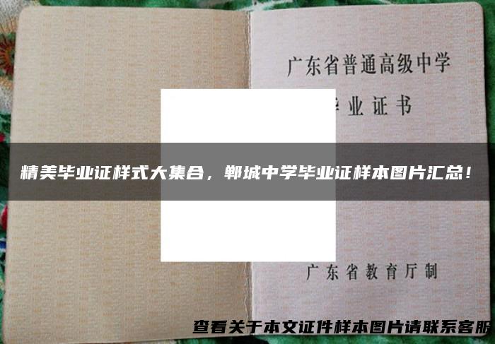 精美毕业证样式大集合，郸城中学毕业证样本图片汇总！