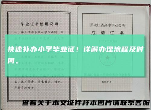 快速补办小学毕业证！详解办理流程及时间。