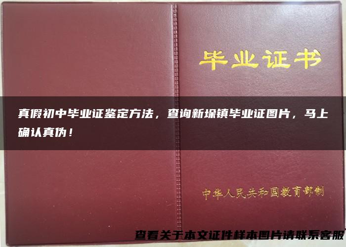 真假初中毕业证鉴定方法，查询新垛镇毕业证图片，马上确认真伪！