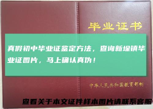 真假初中毕业证鉴定方法，查询新垛镇毕业证图片，马上确认真伪！