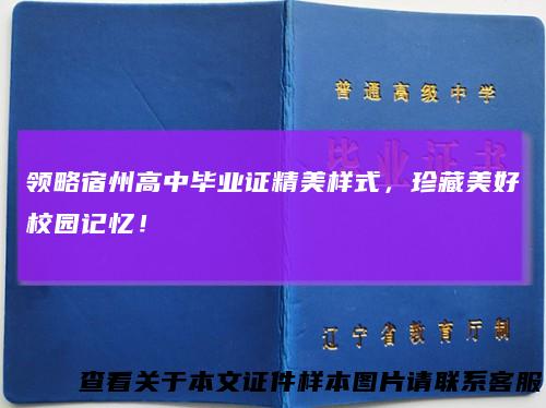 领略宿州高中毕业证精美样式，珍藏美好校园记忆！