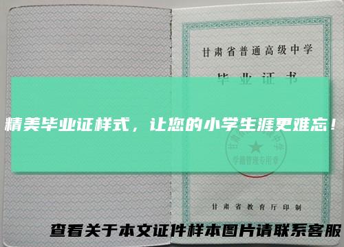 精美毕业证样式，让您的小学生涯更难忘！