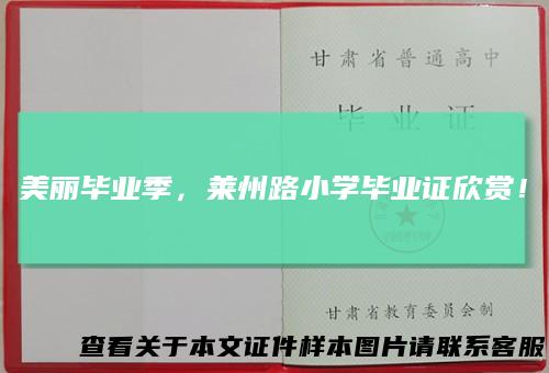 美丽毕业季，莱州路小学毕业证欣赏！