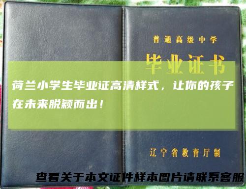 荷兰小学生毕业证高清样式，让你的孩子在未来脱颖而出！