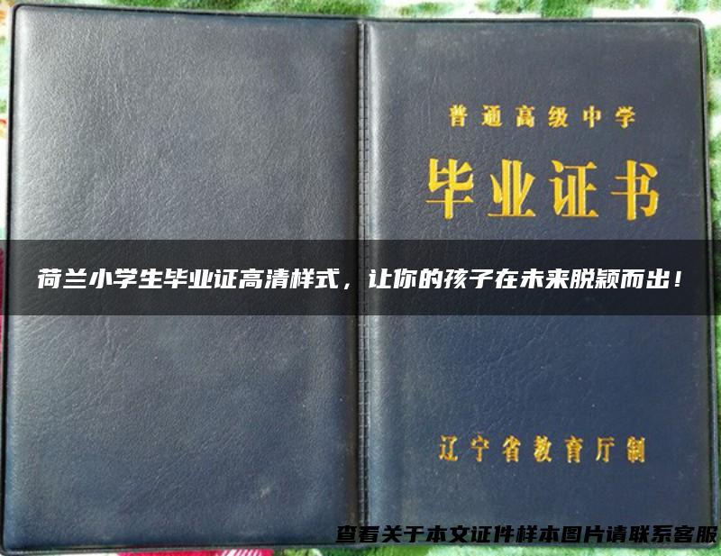 荷兰小学生毕业证高清样式，让你的孩子在未来脱颖而出！