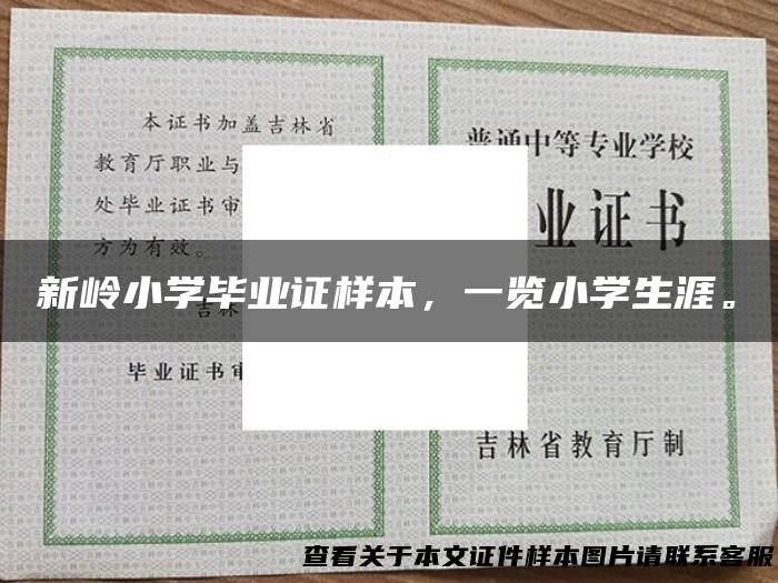 新岭小学毕业证样本，一览小学生涯。