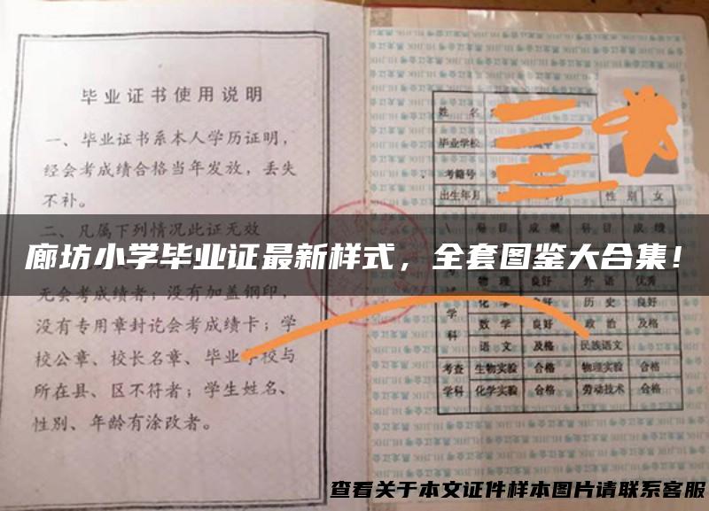 廊坊小学毕业证最新样式，全套图鉴大合集！