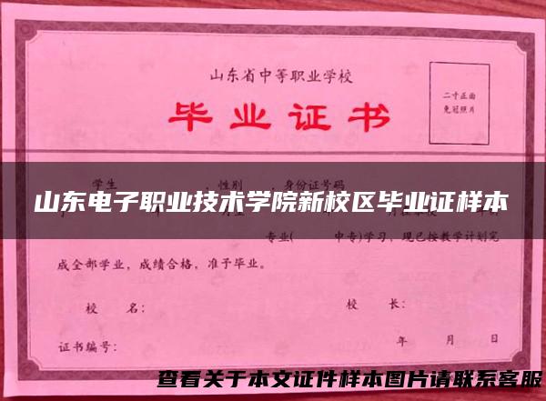 山东电子职业技术学院新校区毕业证样本