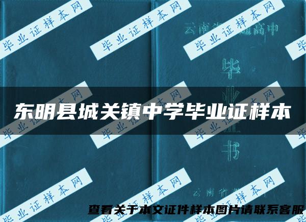 东明县城关镇中学毕业证样本