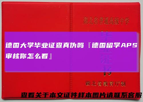 德国大学毕业证查真伪吗『德国留学APS审核你怎么看』