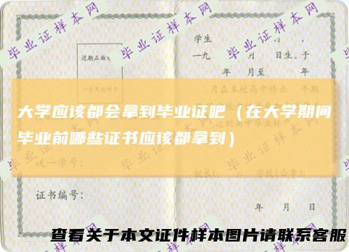 大学应该都会拿到毕业证吧（在大学期间毕业前哪些证书应该都拿到）