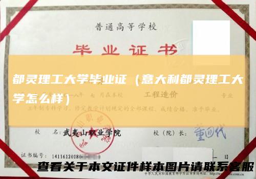 都灵理工大学毕业证（意大利都灵理工大学怎么样）