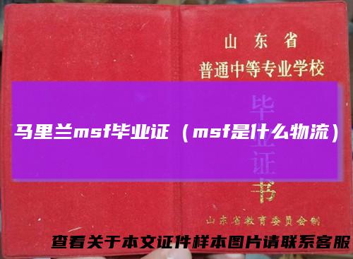 马里兰msf毕业证（msf是什么物流）