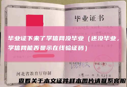 毕业证下来了学信网没毕业（还没毕业，学信网能否显示在线验证码）