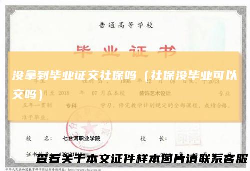 没拿到毕业证交社保吗（社保没毕业可以交吗）