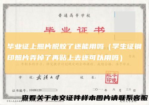 毕业证上照片脱胶了还能用吗（学生证钢印照片弄掉了再贴上去还可以用吗）