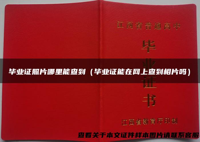 毕业证照片哪里能查到（毕业证能在网上查到相片吗）