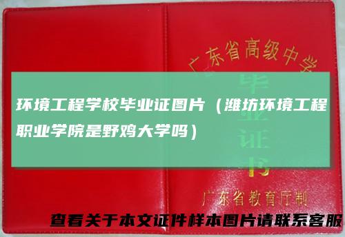 环境工程学校毕业证图片（潍坊环境工程职业学院是野鸡大学吗）