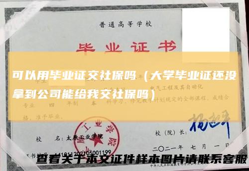 可以用毕业证交社保吗（大学毕业证还没拿到公司能给我交社保吗）