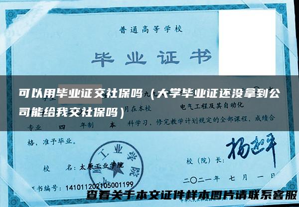 可以用毕业证交社保吗（大学毕业证还没拿到公司能给我交社保吗）