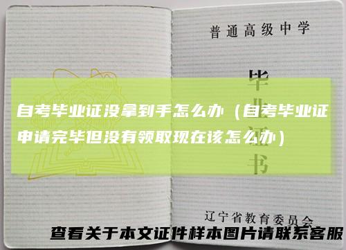 自考毕业证没拿到手怎么办（自考毕业证申请完毕但没有领取现在该怎么办）