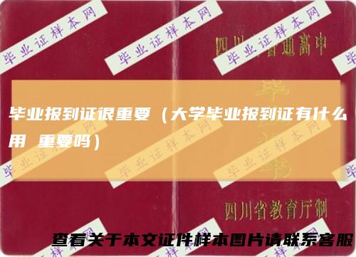 毕业报到证很重要（大学毕业报到证有什么用 重要吗）