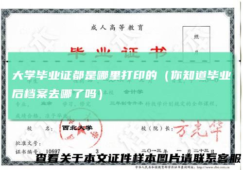 大学毕业证都是哪里打印的（你知道毕业后档案去哪了吗）