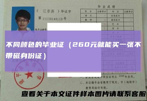 不同颜色的毕业证（260元就能买一张不带磁身份证）