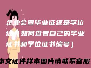 企业会查毕业证还是学位证（如何查看自己的毕业证书和学位证书编号）