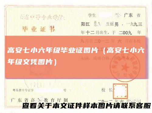高安七小六年级毕业证图片（高安七小六年级文凭图片）