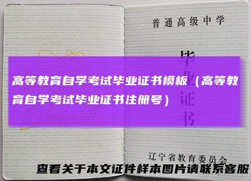 高等教育自学考试毕业证书模板（高等教育自学考试毕业证书注册号）