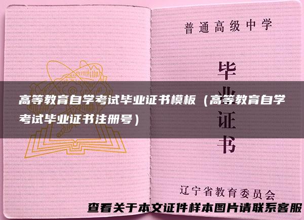 高等教育自学考试毕业证书模板（高等教育自学考试毕业证书注册号）