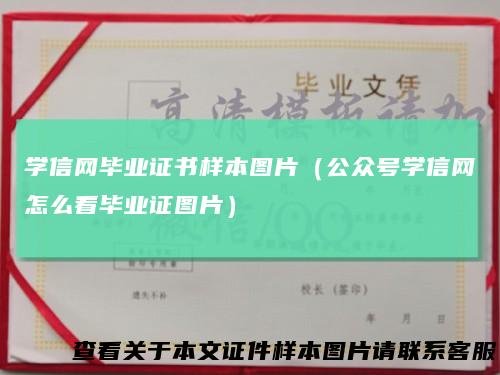 学信网毕业证书样本图片（公众号学信网怎么看毕业证图片）