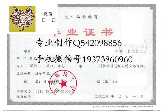 山东科技大学2023成人 拷贝