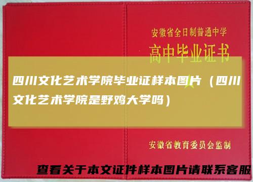 四川文化艺术学院毕业证样本图片（四川文化艺术学院是野鸡大学吗）